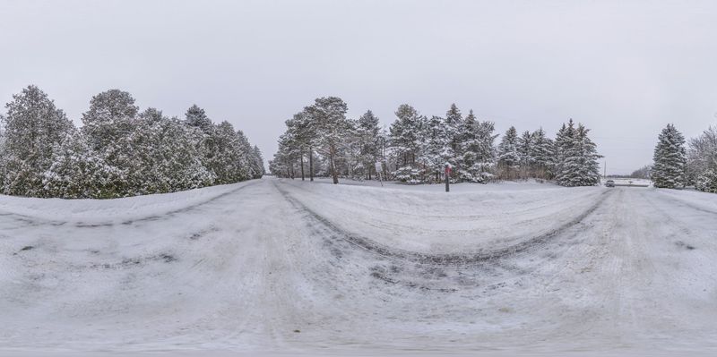 Winter Landscape in the Snowy Forest HDRi Maps and Backplates