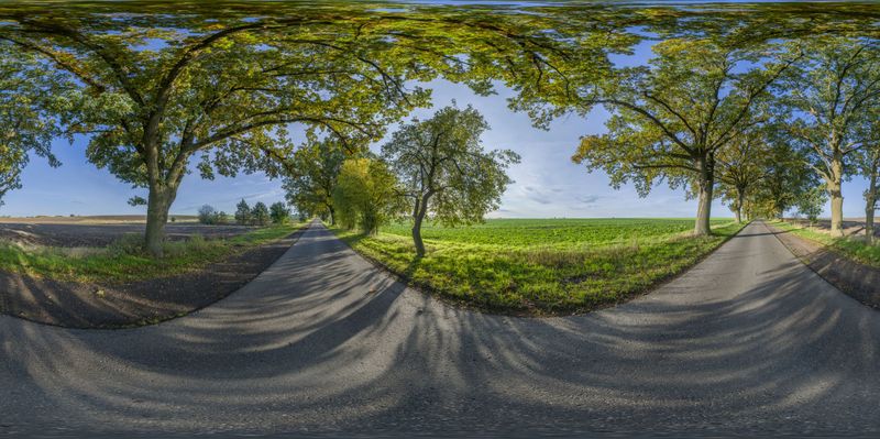 Road Through a Lush Autumn Landscape in Berlin, Germany HDRi Maps and ...