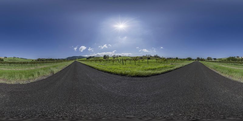Scenic Landscape with Green Fields and Rural Road HDRi Maps and Backplates