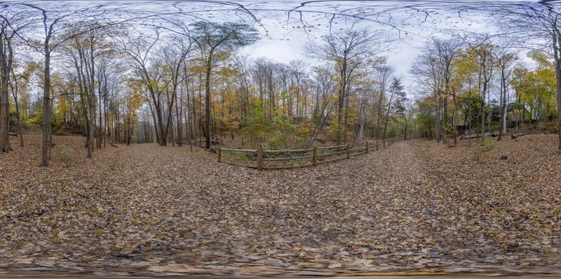 Lush Forest Landscape in Ontario, Canada HDRi Maps and Backplates