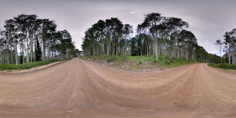 Scenic Road in Crested Butte, Colorado HDRi Maps and Backplates