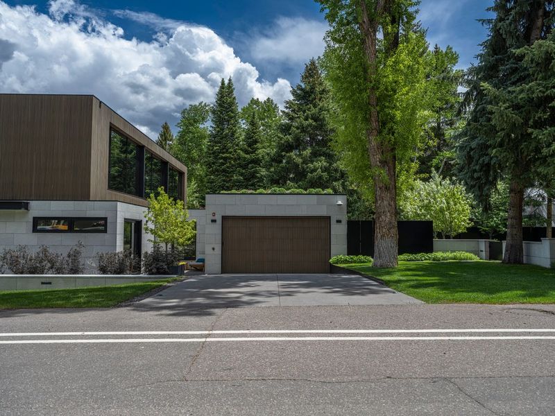 Aspen Trees in Colorado USA HDRi - Aspen Trees Colorado Usa