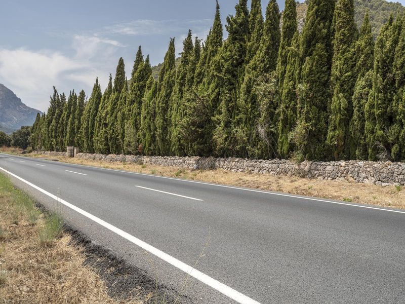 Asphalt Road in Mallorca under Clear Skies HDRi Maps and Backplates