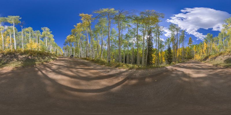 Autumn Drive in the Forest: A Scenic Dirt Road HDRi Maps and Backplates