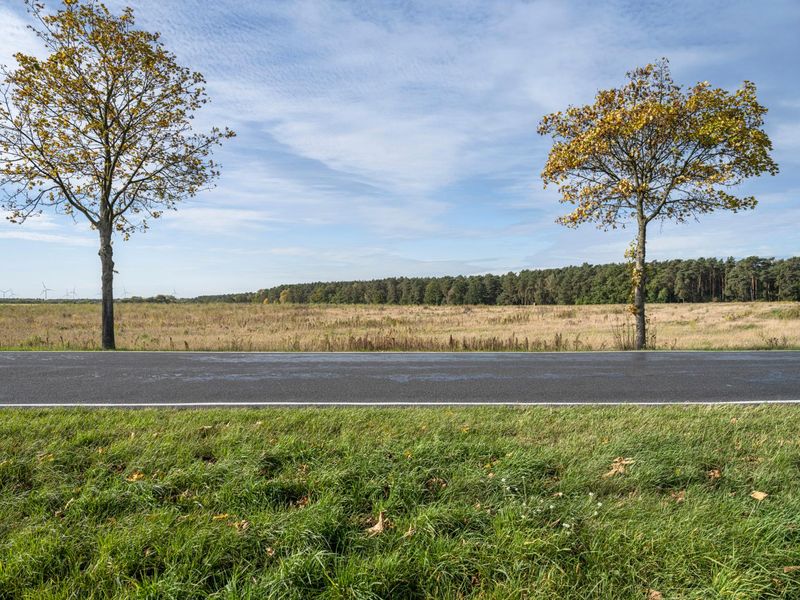 Autumn Landscape with Fallen Road and Trees in Berlin, Germany HDRi ...