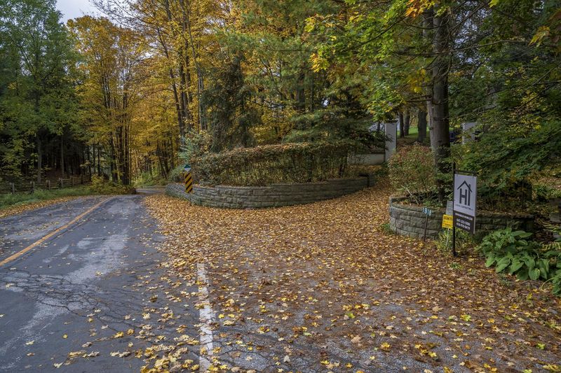 Autumn Road through a Forest Landscape HDRi Maps and Backplates