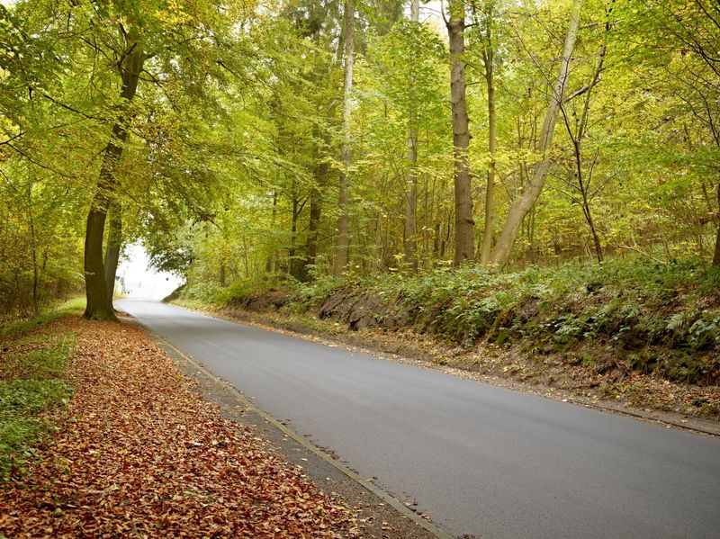 Autumn Road in Germany: A Beautiful Landscape - HDRi Maps and Backplates