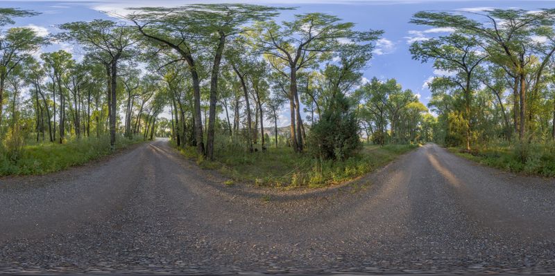 Scenic Landscape at Dawn in Colorado, USA HDRi Maps and Backplates