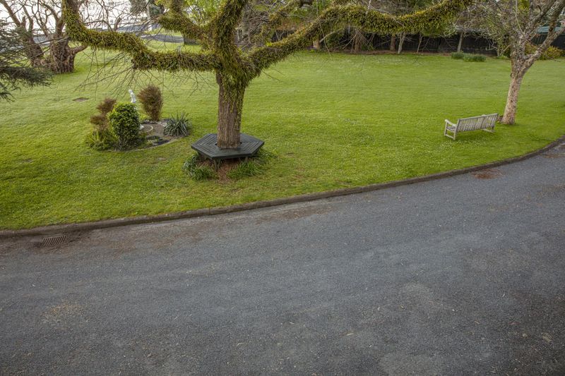 Top Down View of Lush Green Landscape HDRi Maps and Backplates