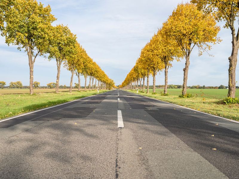Berlin Autumn Landscape: Gloomy Clouds and Lush Vegetation HDRi Maps ...