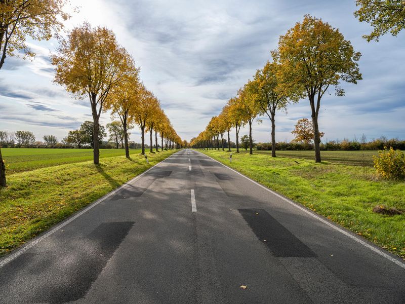 Berlin Autumn Landscape: Road and Nature HDRi Maps and Backplates