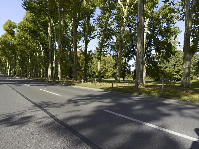 Berlin Autumn Landscape: Road Residential - HDRi Maps and Backplates