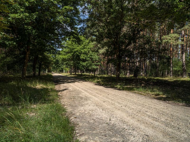 Berlin and Brandenburg Off-Road Adventure HDRi Maps and Backplates