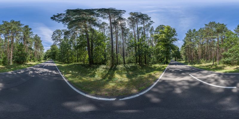Berlin Forest: Straight Road Through Trees and Landscape HDRi Maps and ...