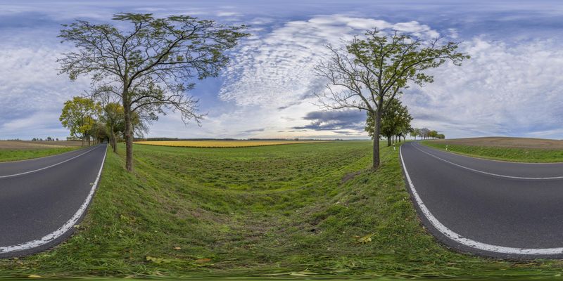 Curved Road in Berlin, Germany: A Lush Landscape HDRi Maps and Backplates