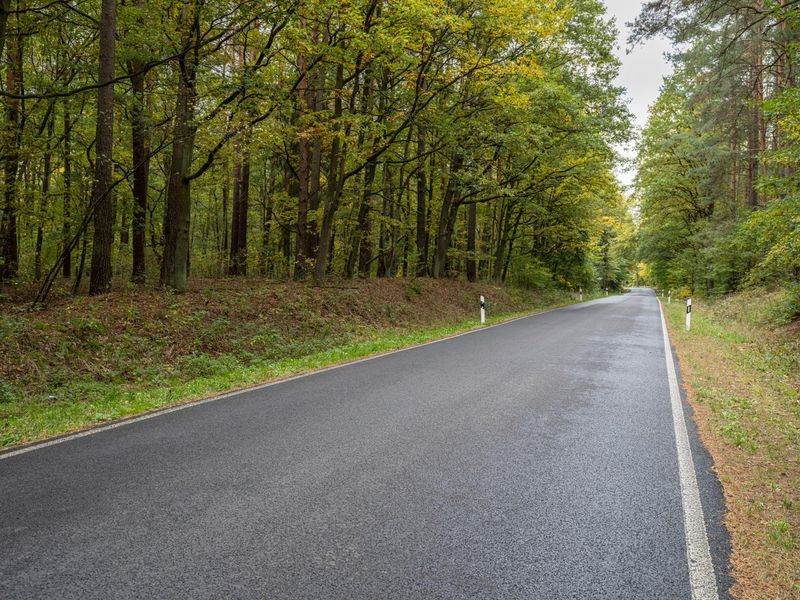 Berlin Germany Road Forest Landscape HDRi Maps and Backplates