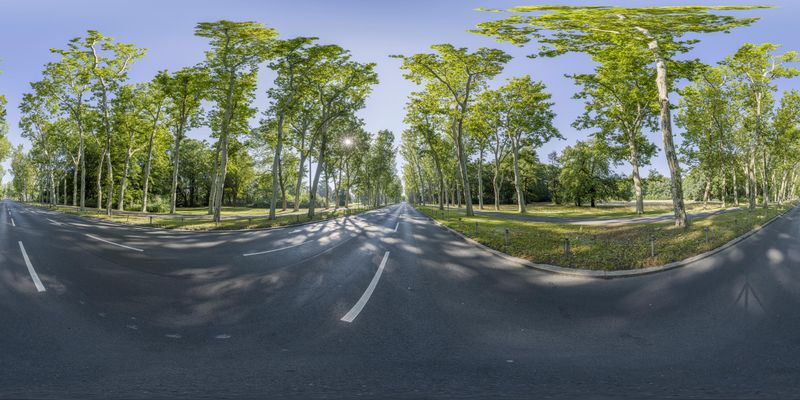 Roads of Berlin, Germany: Trees and Park HDRi Maps and Backplates