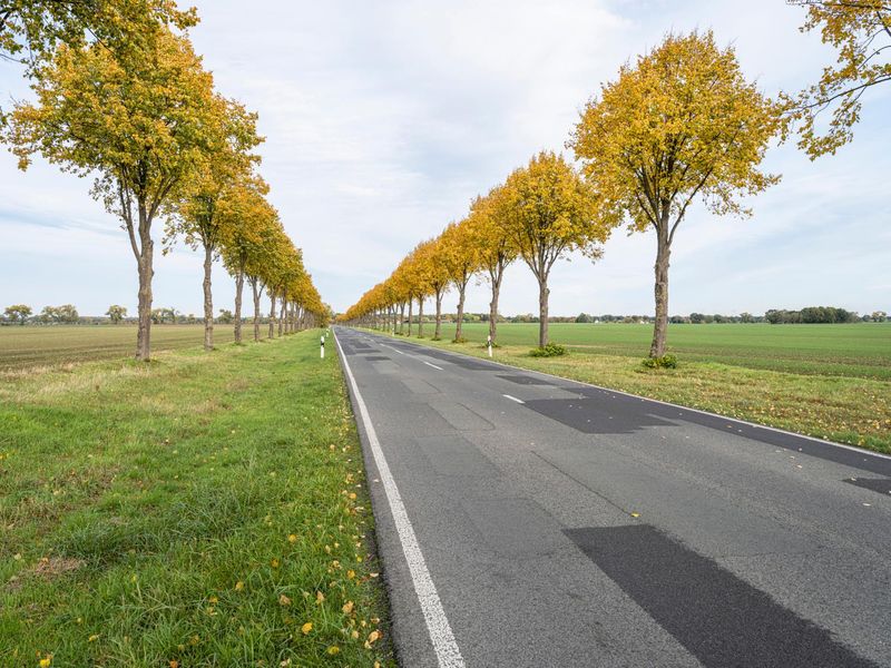 Berlin Road Asphalt Nature Landscape HDRi Maps and Backplates