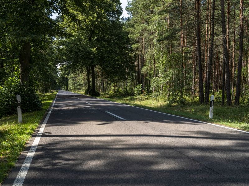 Berlin Road: Daytime with Clear Sky HDRi Maps and Backplates