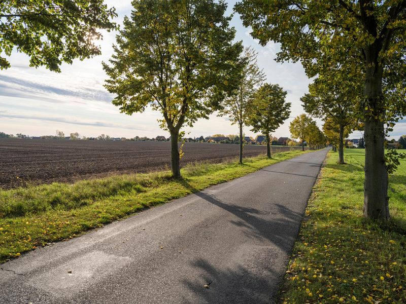 Berlin Road Surrounded by Lush Vegetation HDRi Maps and Backplates