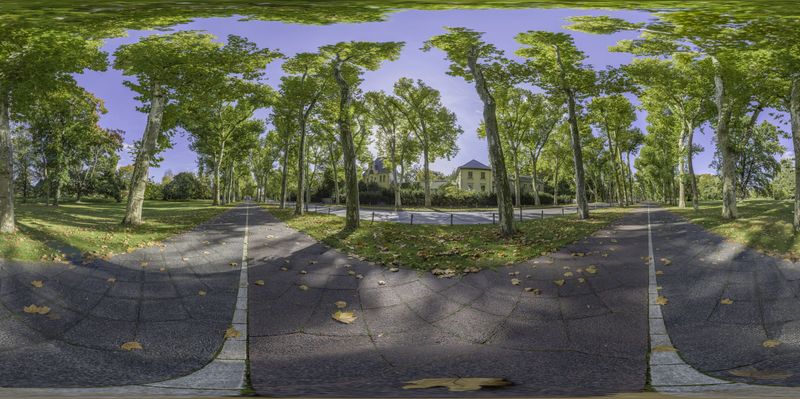 Berlin Road: Trees, Forest, and Autumn Sunlight HDRi Maps and Backplates