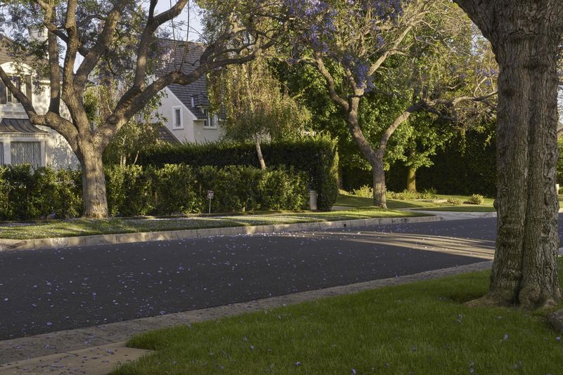 Beverly Hills, California Residential Neighborhood HDRi Maps and Backplates