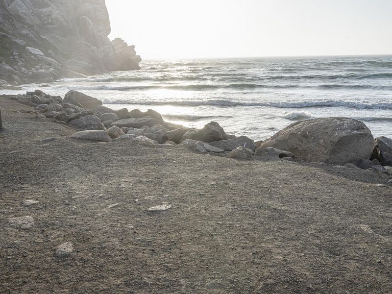 Black Dog on Rocky Beach at California Coastline HDRi Maps and Backplates