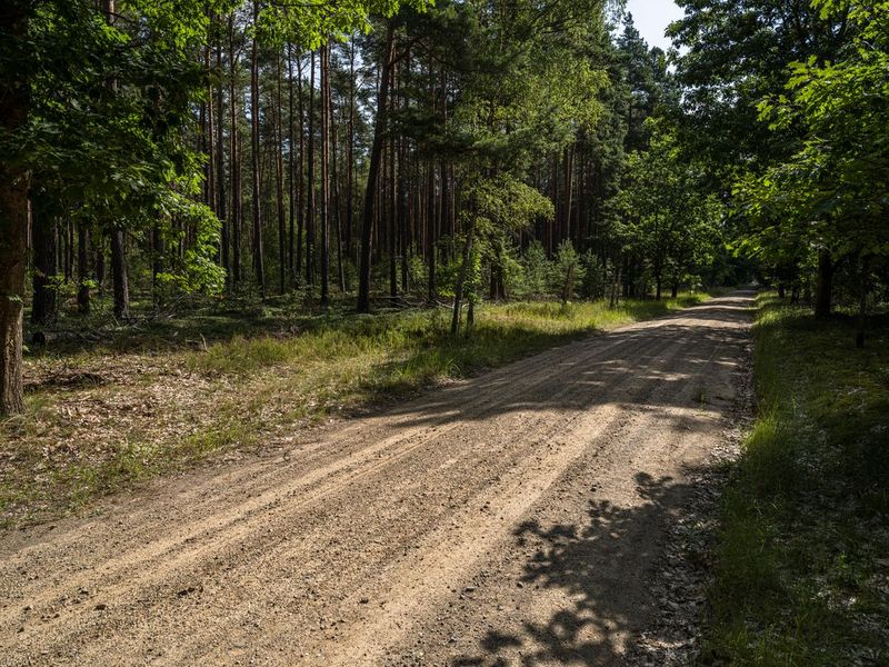 Brandenburg Berlin Off-Road Dirt Road - HDRi Maps and Backplates