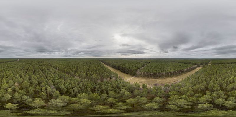 Brandenburg Forest Landscape: An Aerial View HDRi Maps and Backplates