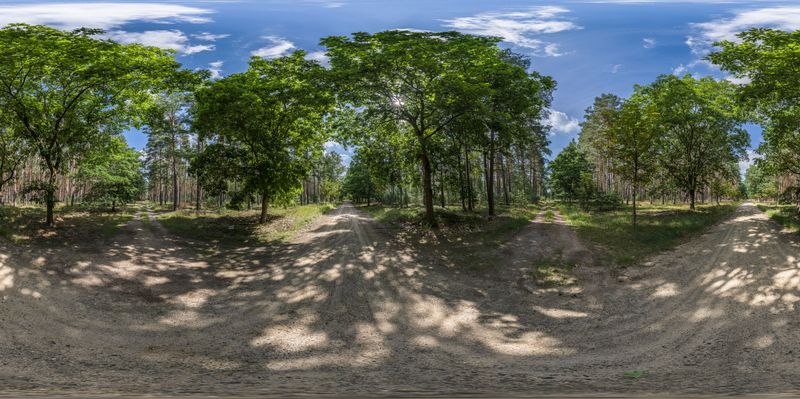 Brandenburg, Germany: Lush Green Landscape HDRi Maps and Backplates