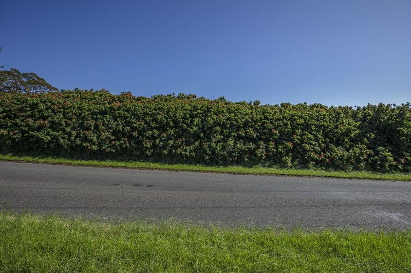 Scenic Landscape with Vegetation and a Road Surface HDRi Maps and ...