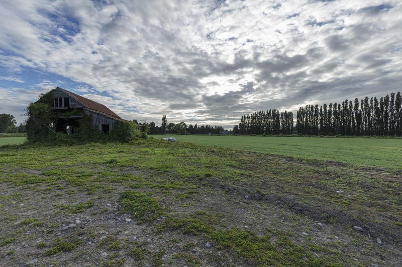Rural Landscape with Green Grass and Trees HDRi Maps and Backplates