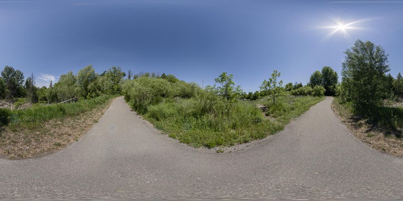 Scenic Road in Ontario, Canada HDRi Maps and Backplates