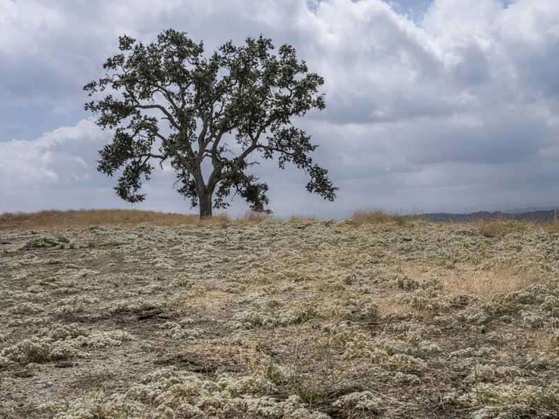 California Barren Field Over Ocean on a Cloudy Day HDRi Maps and Backplates