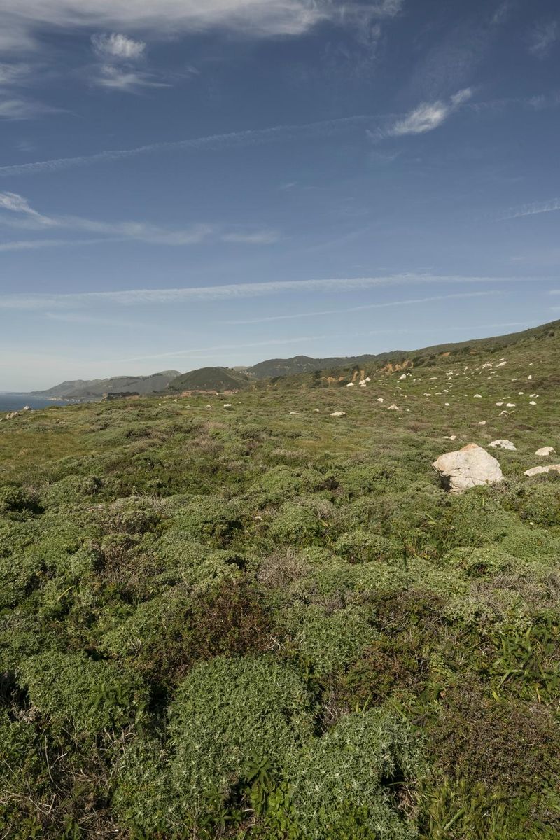 California Coastal Landscape with Open Grass Surface and Highland ...
