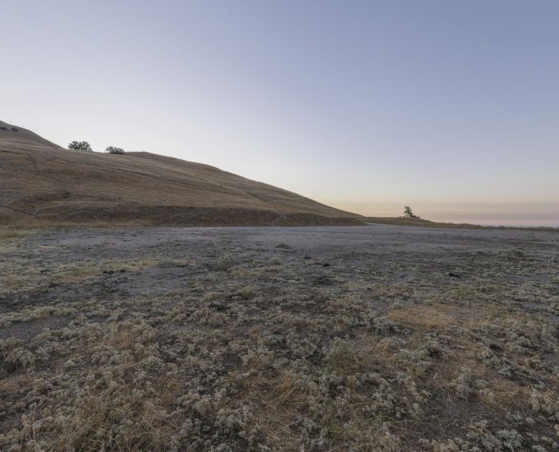 California Dawn in Barren Landscape with Tree HDRi Maps and Backplates