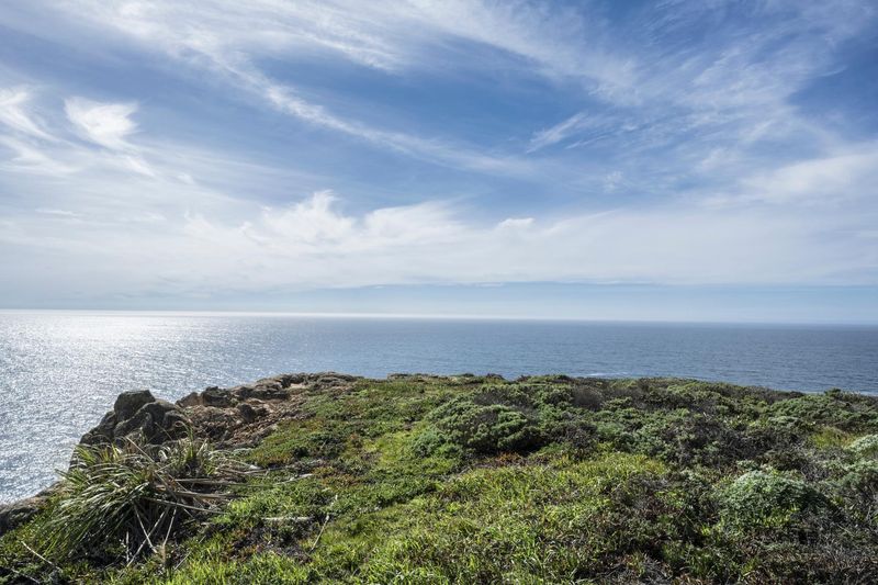 A Day in California: Ocean Shore and Open Spaces - HDRi Maps and Backplates