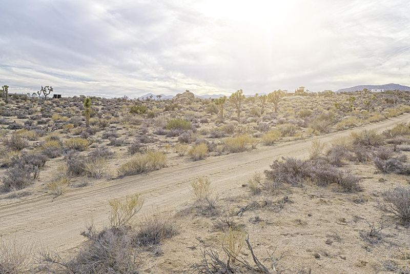 California Desert Landscape: A Road Trip Adventure HDRi Maps and Backplates