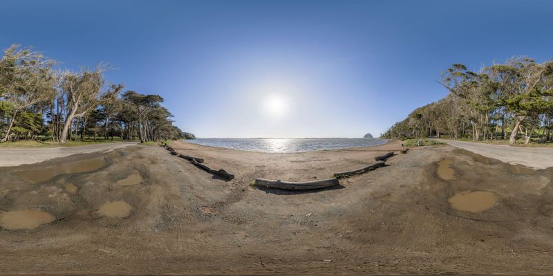 California's Low Coastal Road: Lined with Palm Trees HDRi Maps and ...