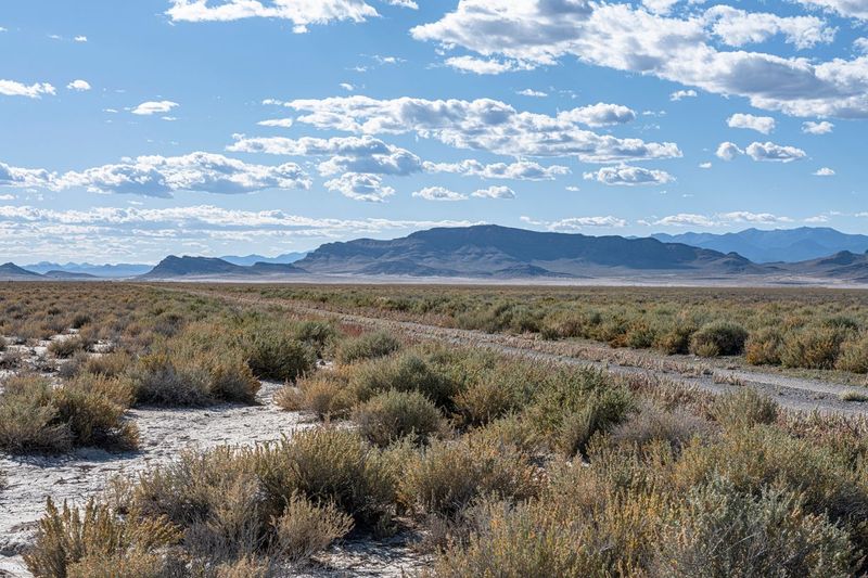 California Nature: A Grass Vegetation in the Landscape HDRi Maps and ...