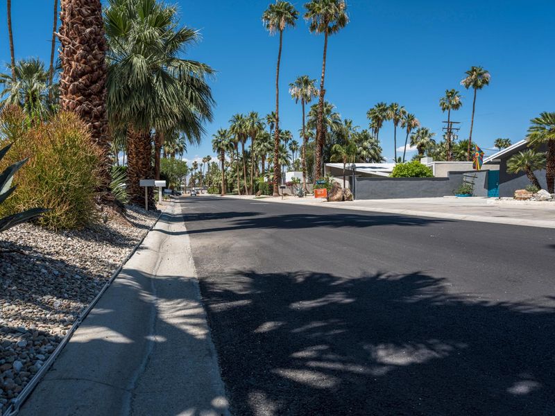 Palm Tree Residential Location Reference: California Palm Trees Under A Clear Sky Hdri Maps And