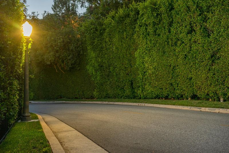 California Road in Los Angeles with Hedge HDRi Maps and Backplates