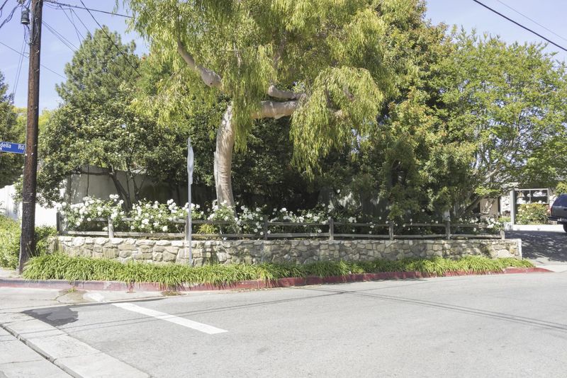 California Suburban Area With Trees Real Estate HDRi Maps and