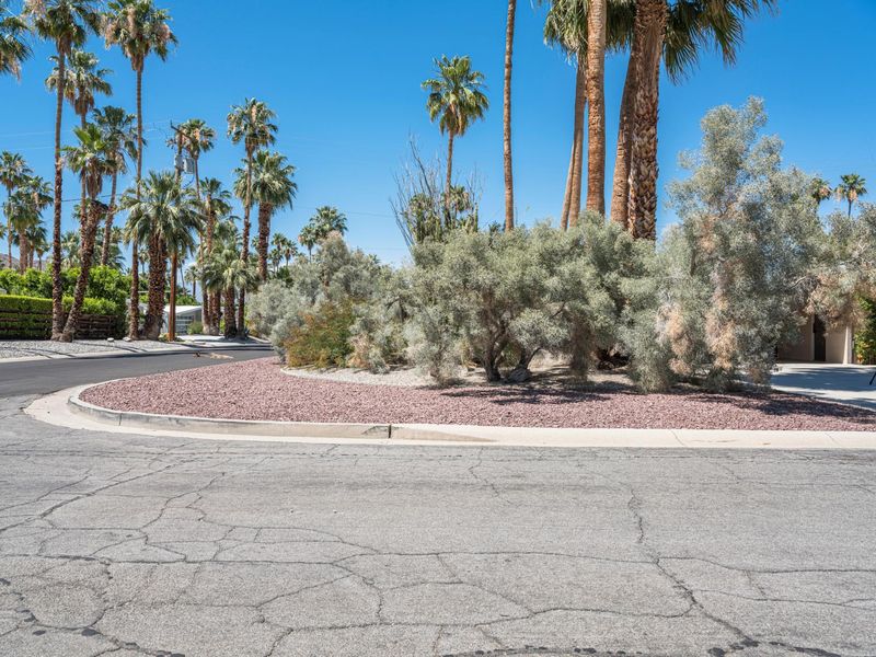Photo inspiration: Gallery Detail: California Suburban Residential Area Palm Trees And Modern