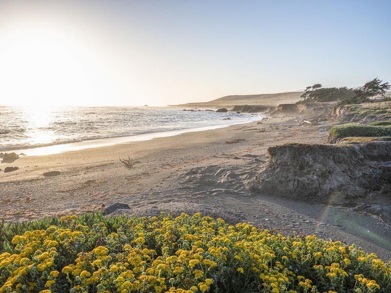 California Sunrise: Coastal Landscape by the Ocean HDRi Maps and Backplates