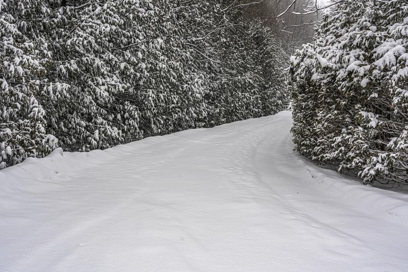 Canada, Ontario Landscape: Snow Covered Road HDRi Maps and Backplates