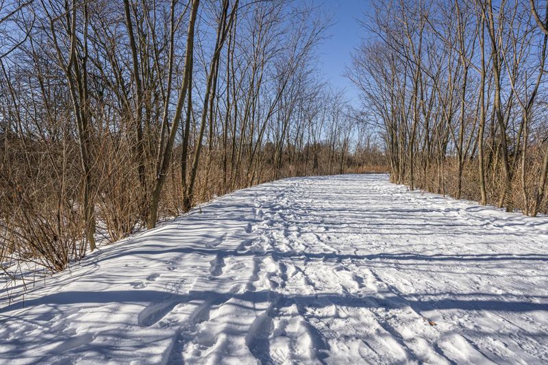 Canada Ontario Landscape: Water and Forest HDRi Maps and Backplates