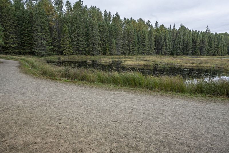 Canada's Ontario: Vegetation Reflected in the Lake HDRi Maps and Backplates