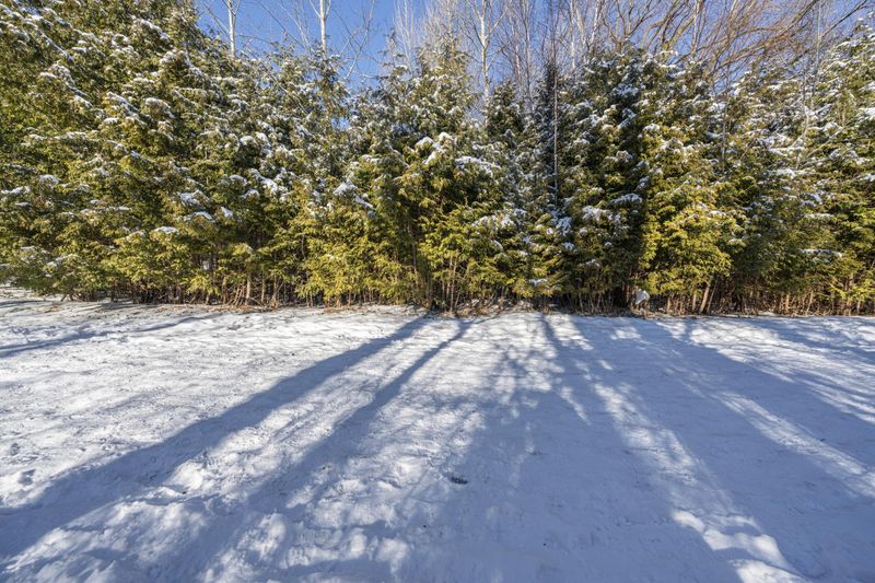 Winter Landscape in Ontario, Canada - HDRi Maps and Backplates