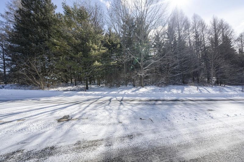 Canadian Forest: Snowy Road Bathed in Sunlight HDRi Maps and Backplates